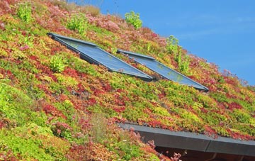 Clewer Green living roof systems